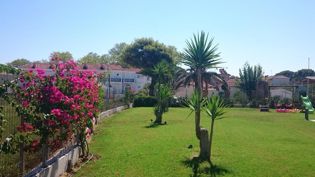 Zoi Apartments Tsilivi  Room photo